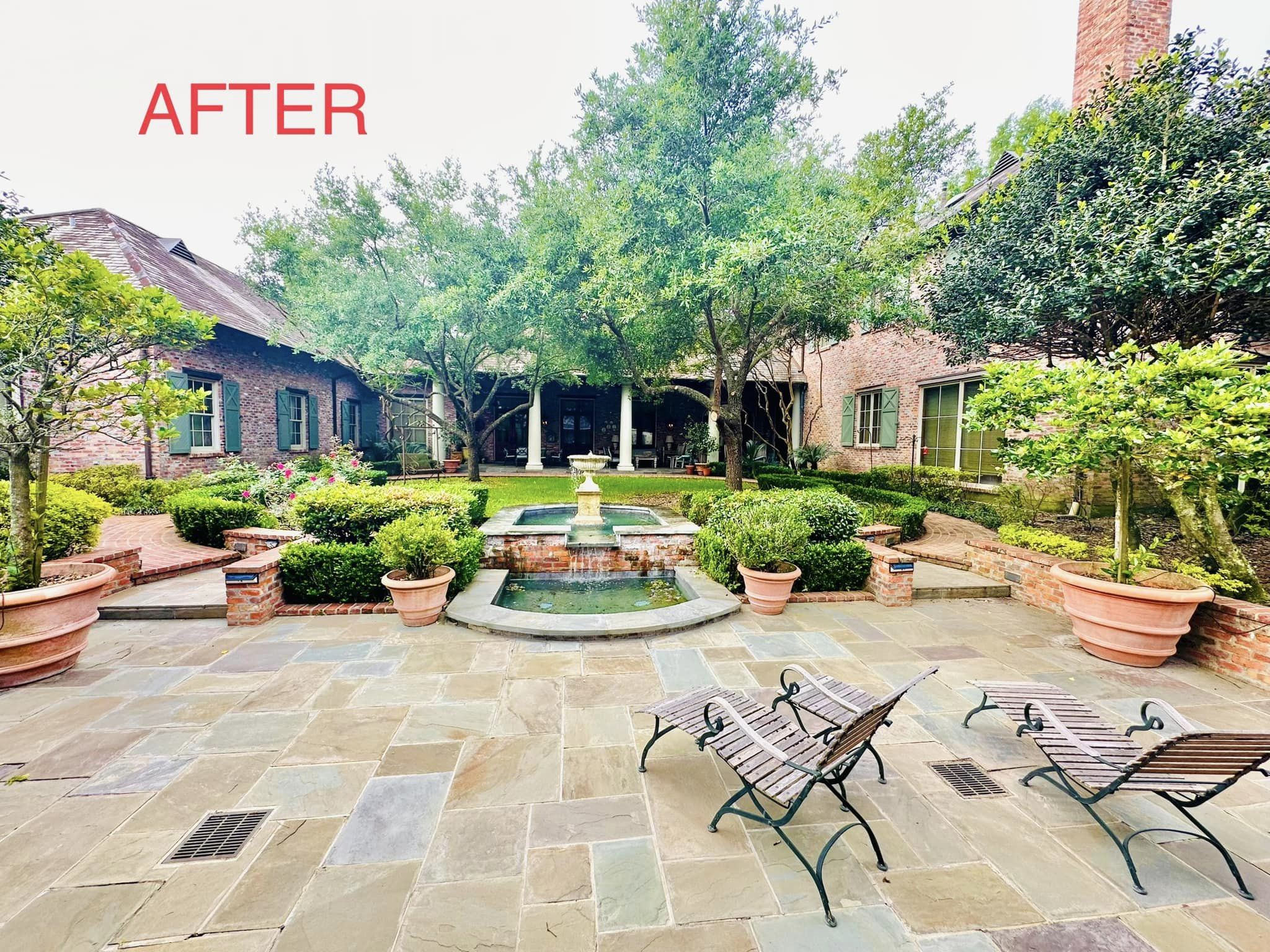 Tree Pruning Services - Green Leaf Tree Service - After Photo