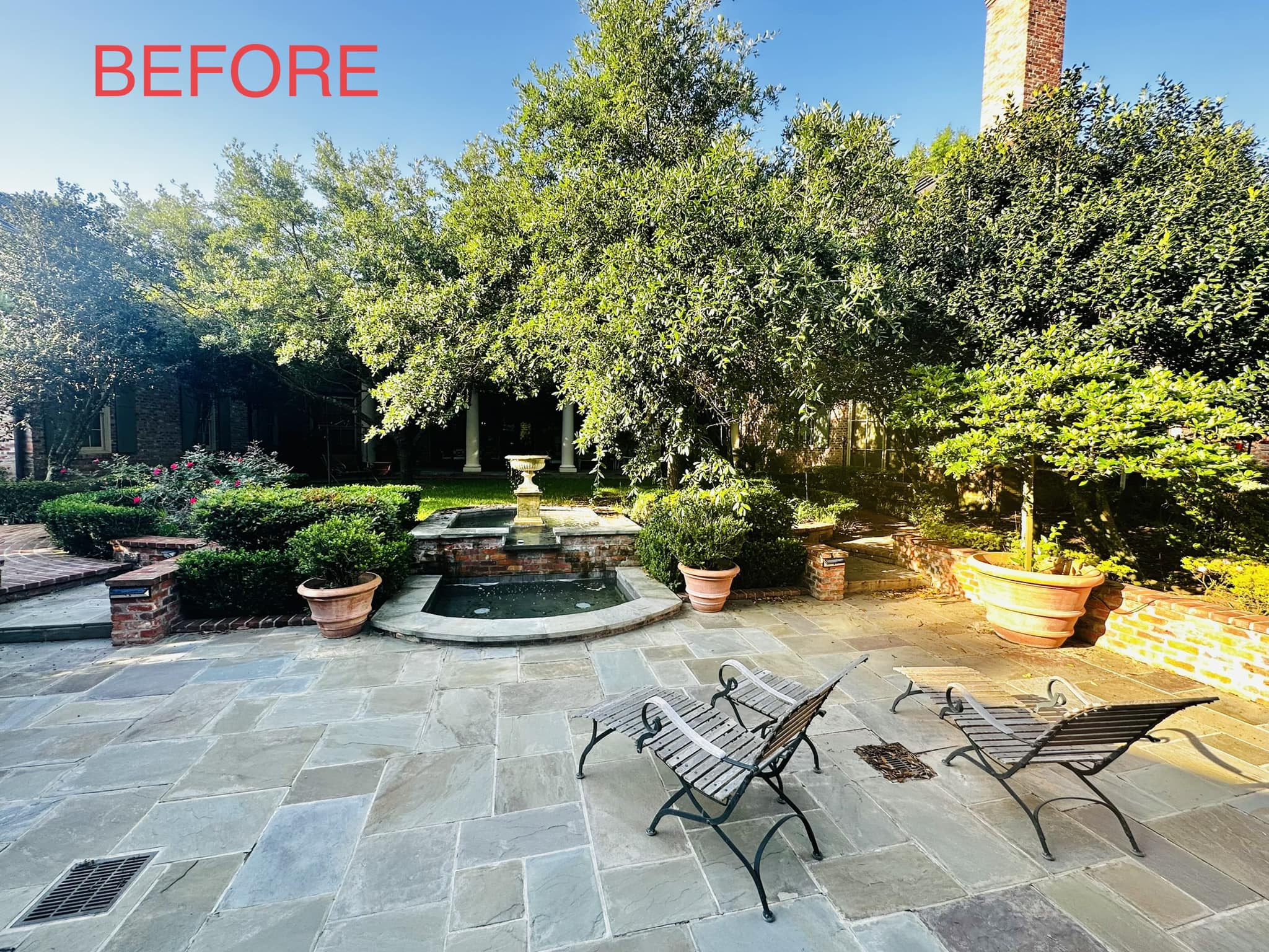 Tree Pruning Services - Green Leaf Tree Service - Before Photo