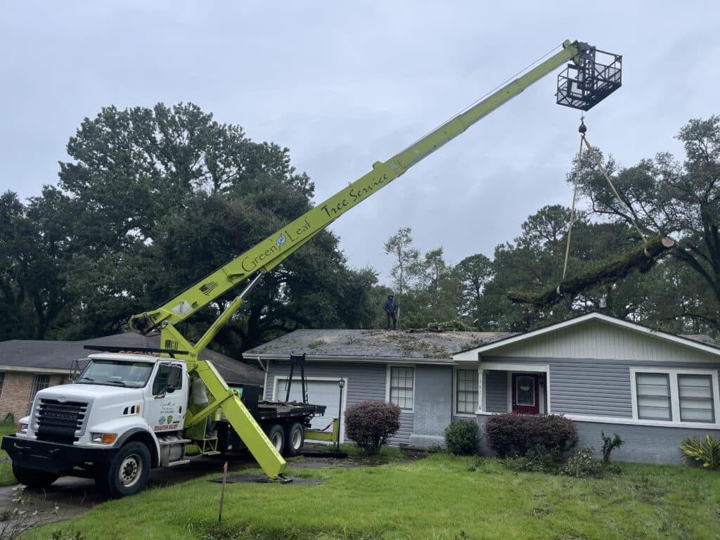 Tree Maintenance Services Company in Lafayette, LA